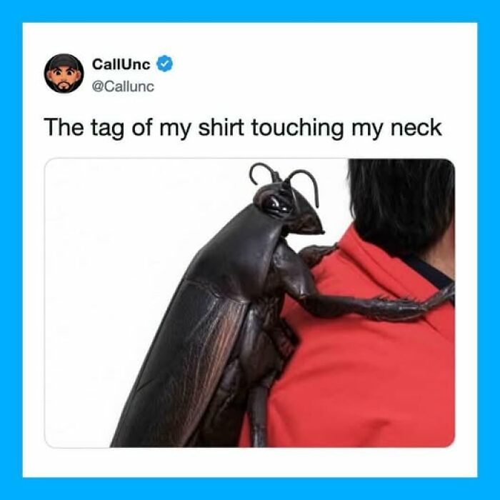 Funny tweet comparing an unhinged shirt tag feeling to a huge insect on ones neck.