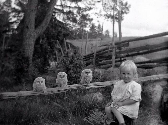 Vintage photo of a child sitting next to three baby owls on a fence, showcasing animals stealing the spotlight.