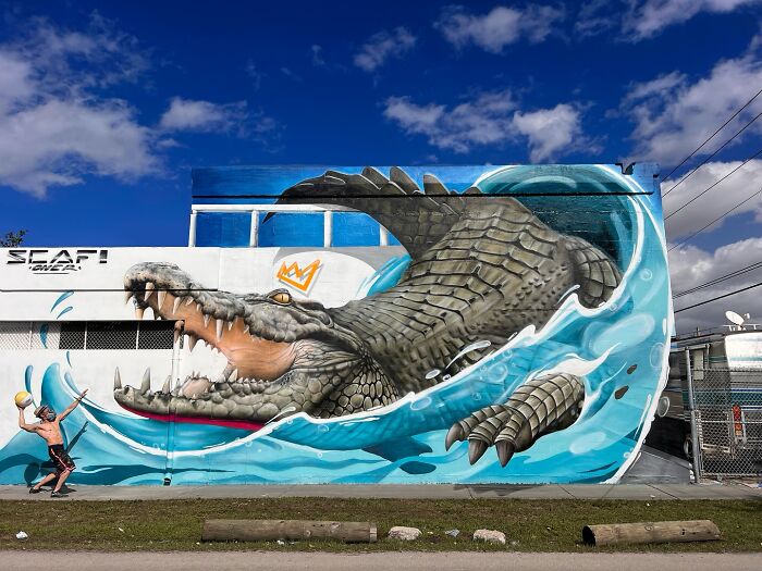 French artist's mind-bending 3D illusion of a crocodile in water, with a person playing with a ball.