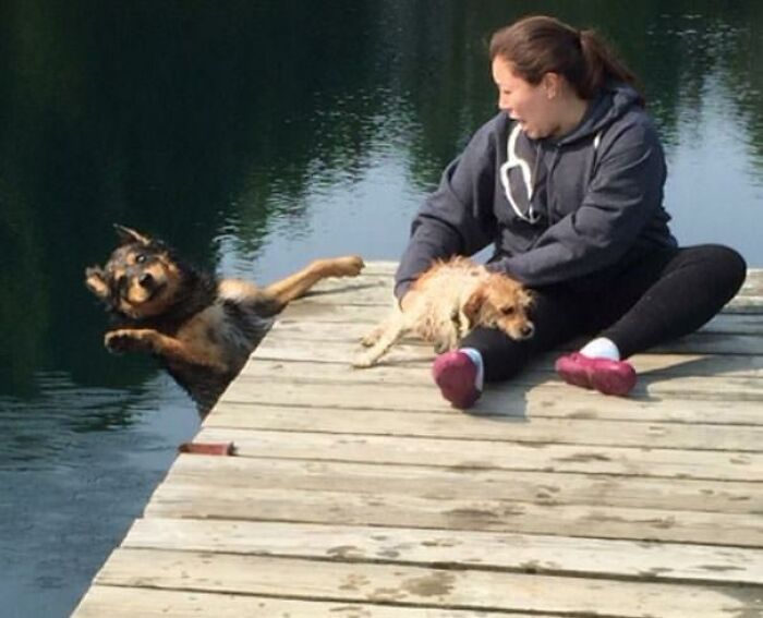 50 Perfectly Timed Animal Photos From This Online Collection That Are Almost Too Good To Be True