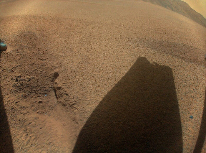 A wide view NASA Mars photo of the Martian surface, with some speculating about jellyfish-like forms. A wide view NASA Mars photo of the Martian surface, with some speculating about jellyfish-like forms.