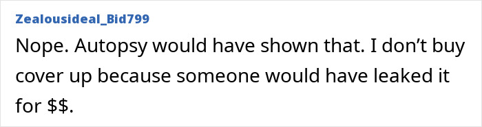 A social media comment from Zealousideal_Bid799 dismissing the Princess Diana secret pregnancy royal conspiracy theory. A social media comment from Zealousideal_Bid799 dismissing the Princess Diana secret pregnancy royal conspiracy theory.