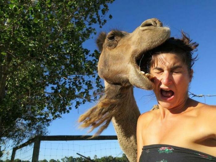 50 Perfectly Timed Animal Photos From This Online Collection That Are Almost Too Good To Be True