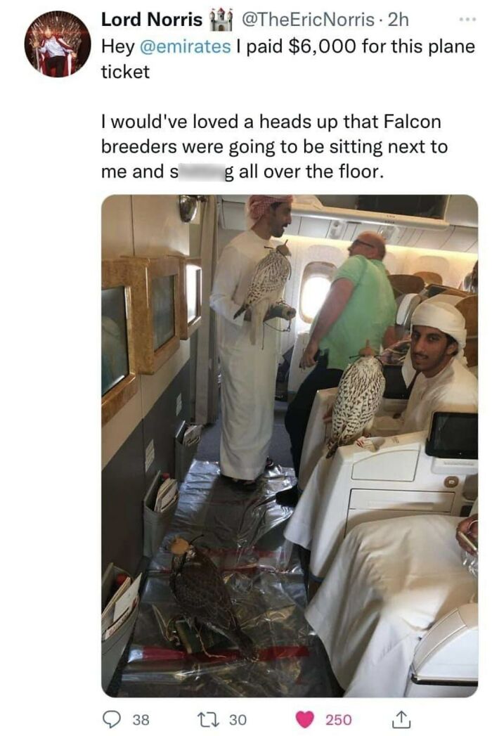 Entitled people on a flight with falcons on the floor, getting a reality check at 30,000 feet.