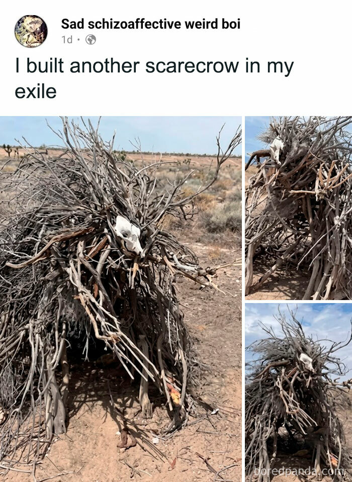 The Windiscrow: Protector Of The Exiled One