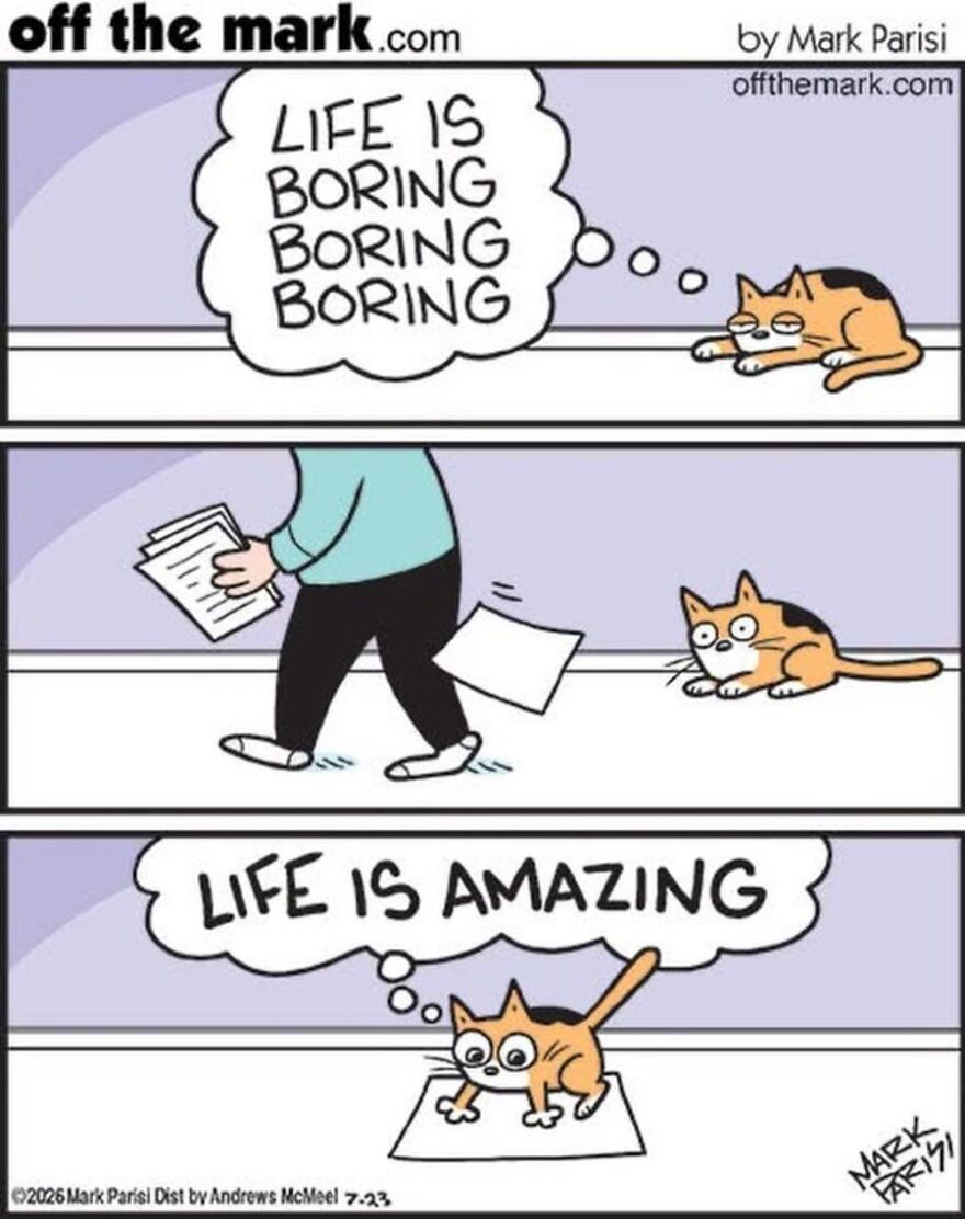 Cats Turn Everyday Chaos Into Comedy In These 36 New Cartoons By Mark Parisi
