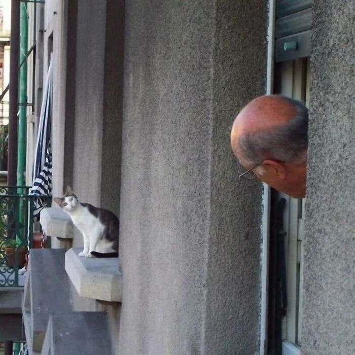 A photographer captures a funny moment of a man looking out a window at a cat on a ledge.