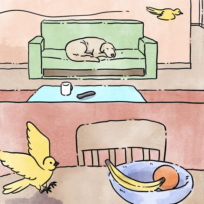 Heartwarming comics showing life with pets; a dog sleeps on a couch while birds fly and fruit sits in a bowl. Heartwarming comics showing life with pets; a dog sleeps on a couch while birds fly and fruit sits in a bowl.
