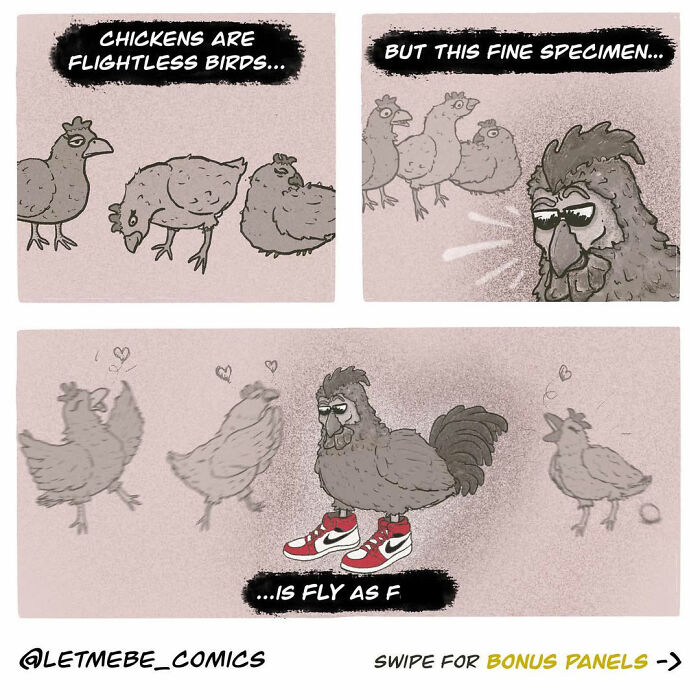 A comic artist shows flightless chickens looking at a cool chicken with sunglasses and stylish sneakers.