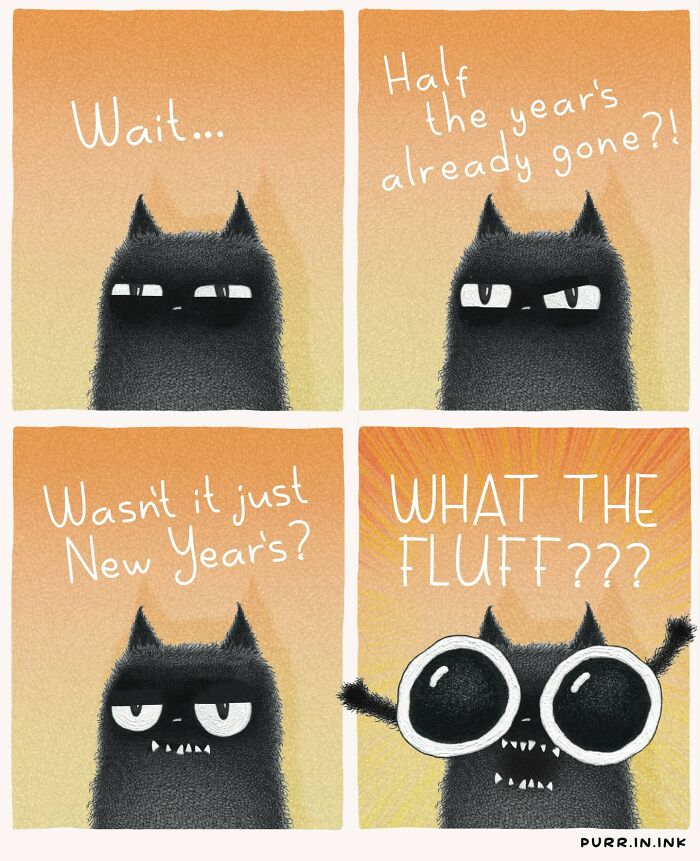 A four-panel illustration showing a cat reacting with shock as it realizes half the year is gone, an adorable cat illustration.