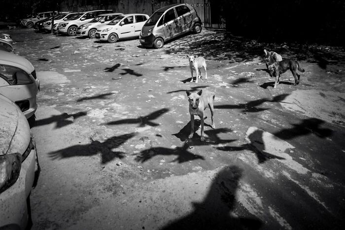 Life At A Parking Lot By Magdaléna Straková