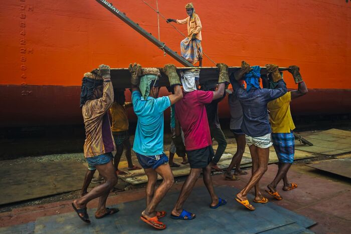 Rhythm Of Survival By MD Enamul Kabir