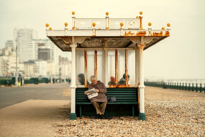 Gimme Shelter By David Jacobson