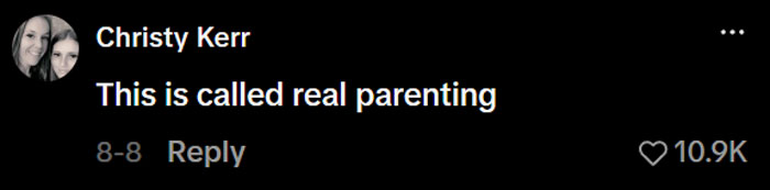 A comment praising a mom for her kids mornings, stating 'This is called real parenting.' A comment praising a mom for her kids mornings, stating 'This is called real parenting.'