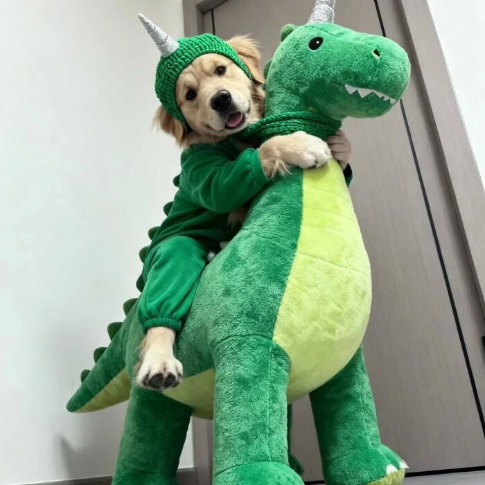 An artistic dog image of a golden retriever dressed as a unicorn riding a plush green dinosaur toy.