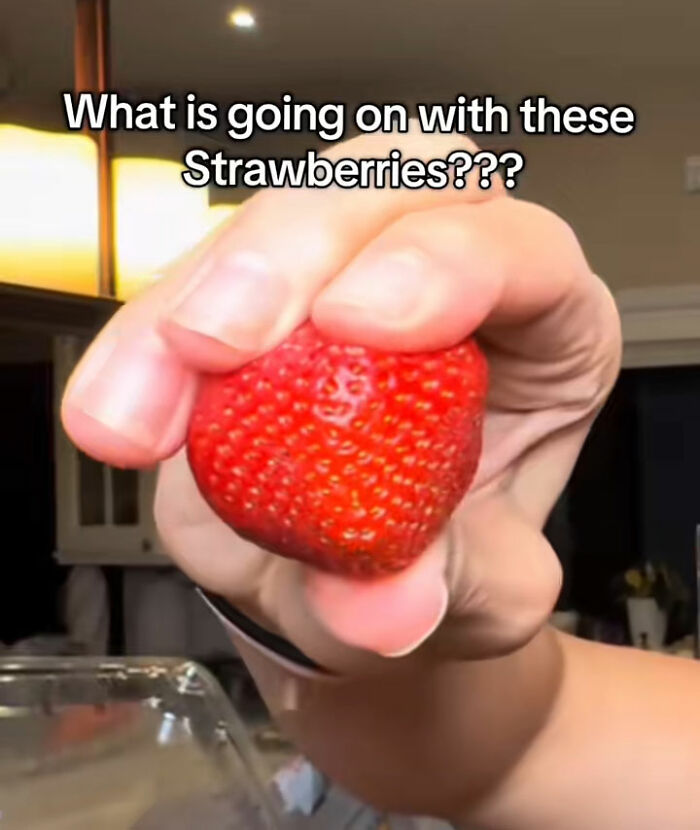A hand squeezing a strawberry that appears to be losing its color under water, exposing fake foods. A hand squeezing a strawberry that appears to be losing its color under water, exposing fake foods.