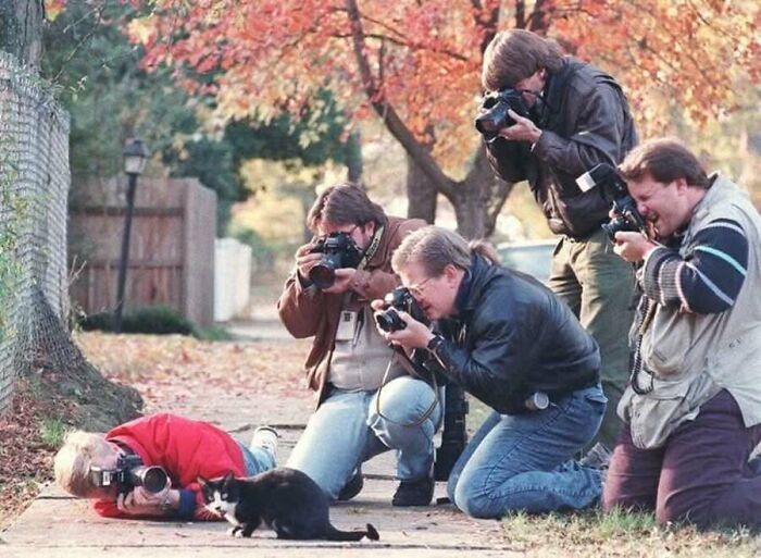Vintage photo of several photographers capturing a small cat on the sidewalk. Animals steal the spotlight.