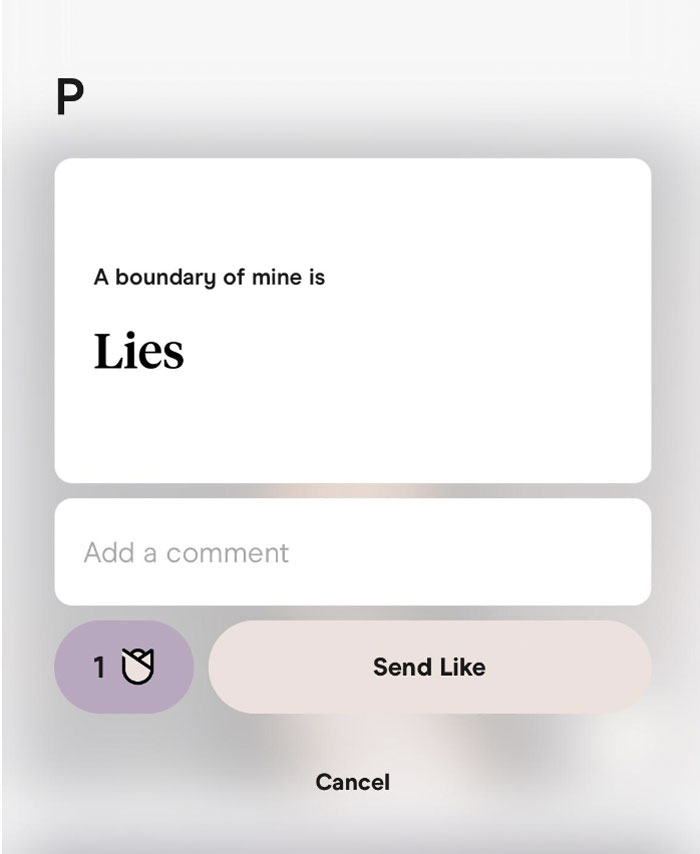 A cringey screenshot from online dating with a bio stating a boundary is lies.