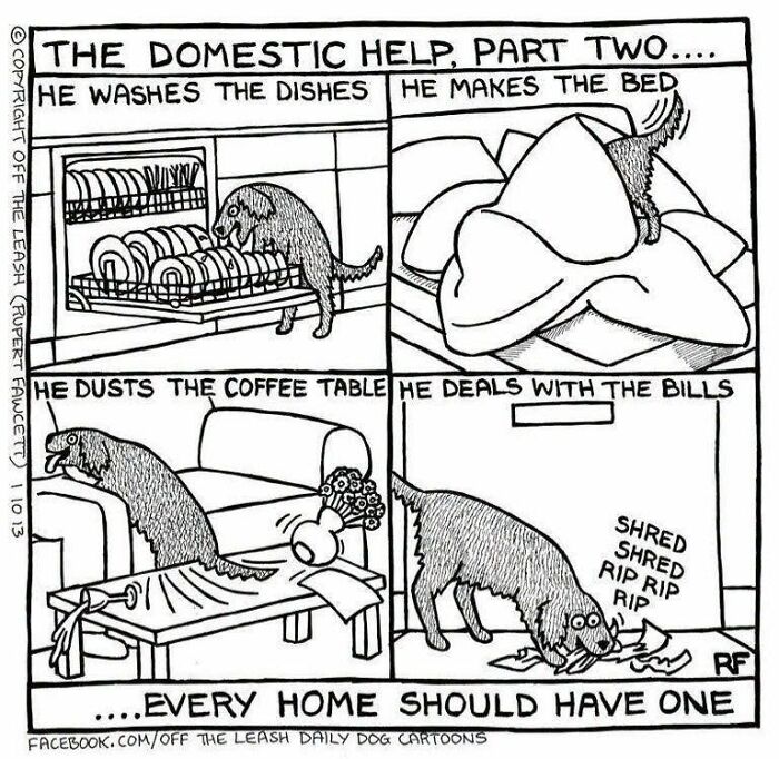 A comic depicting dogs attempting household chores, including shredding bills, capturing life with dogs.