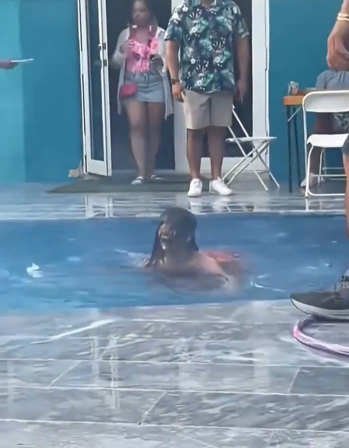 Woman in pool after skirt fire, a clear executive decision to extinguish the flames in a viral moment. Woman in pool after skirt fire, a clear executive decision to extinguish the flames in a viral moment.