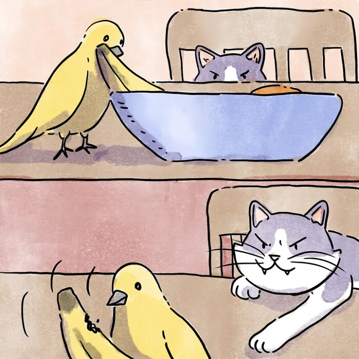 Heartwarming comics of pets; a bird takes a banana as an angry cat watches, then lunges at the bird. Heartwarming comics of pets; a bird takes a banana as an angry cat watches, then lunges at the bird.