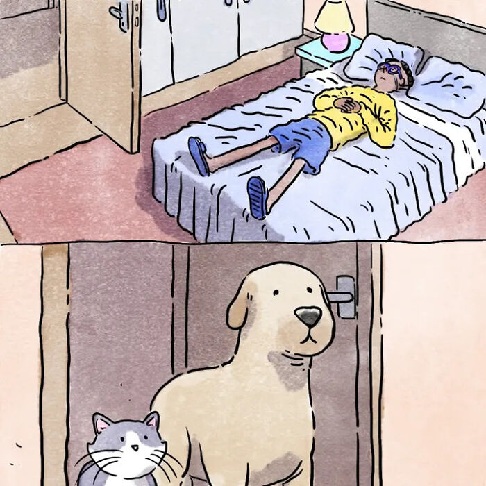 Heartwarming comics of a person in bed, with a dog and cat looking in, illustrating life with pets. Heartwarming comics of a person in bed, with a dog and cat looking in, illustrating life with pets.