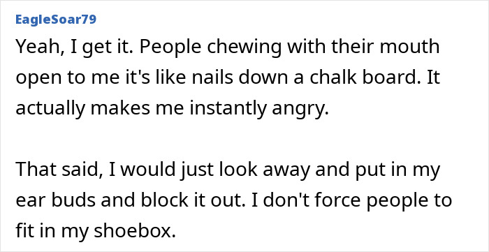 A comment by EagleSoar79 describing the annoyance of chewing with mouth open on plane, likening it to nails on a chalkboard.