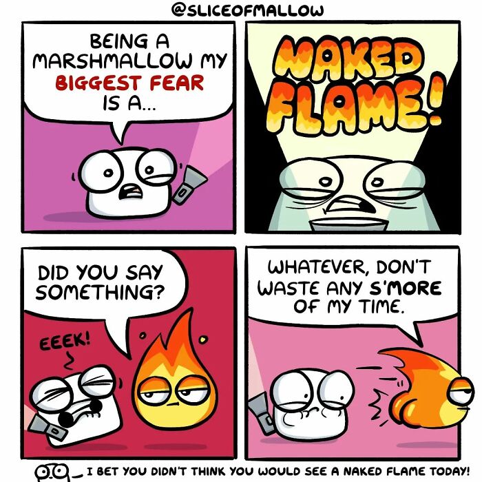 Humorous comics: a marshmallow expresses fear of a naked flame, but the flame dismisses the marshmallow's concern.