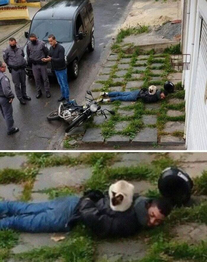A funny animal encounter showing two people in skull masks lying face down on the grass next to a fallen motorcycle, observed by police.