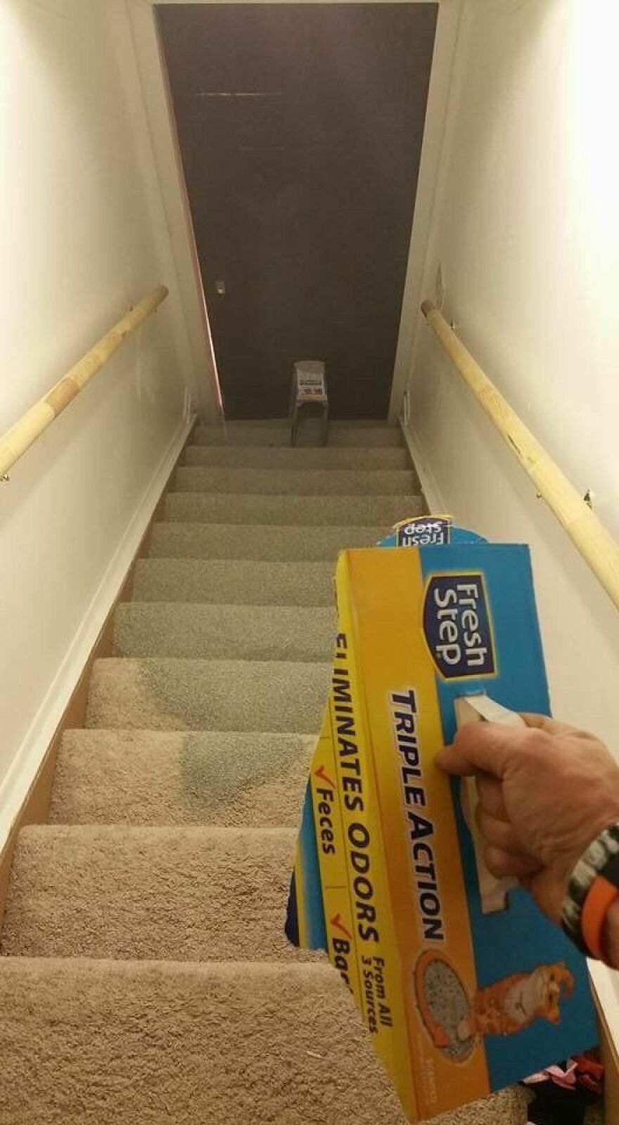 Person holding a large box of cat litter at the bottom of a long staircase. Unfortunate fails.