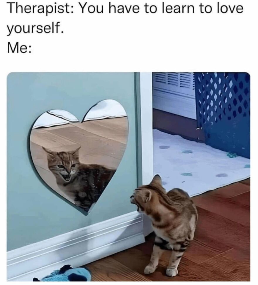 A cat meme showing a cat roaring at its reflection in a heart-shaped mirror, representing learning to love yourself.