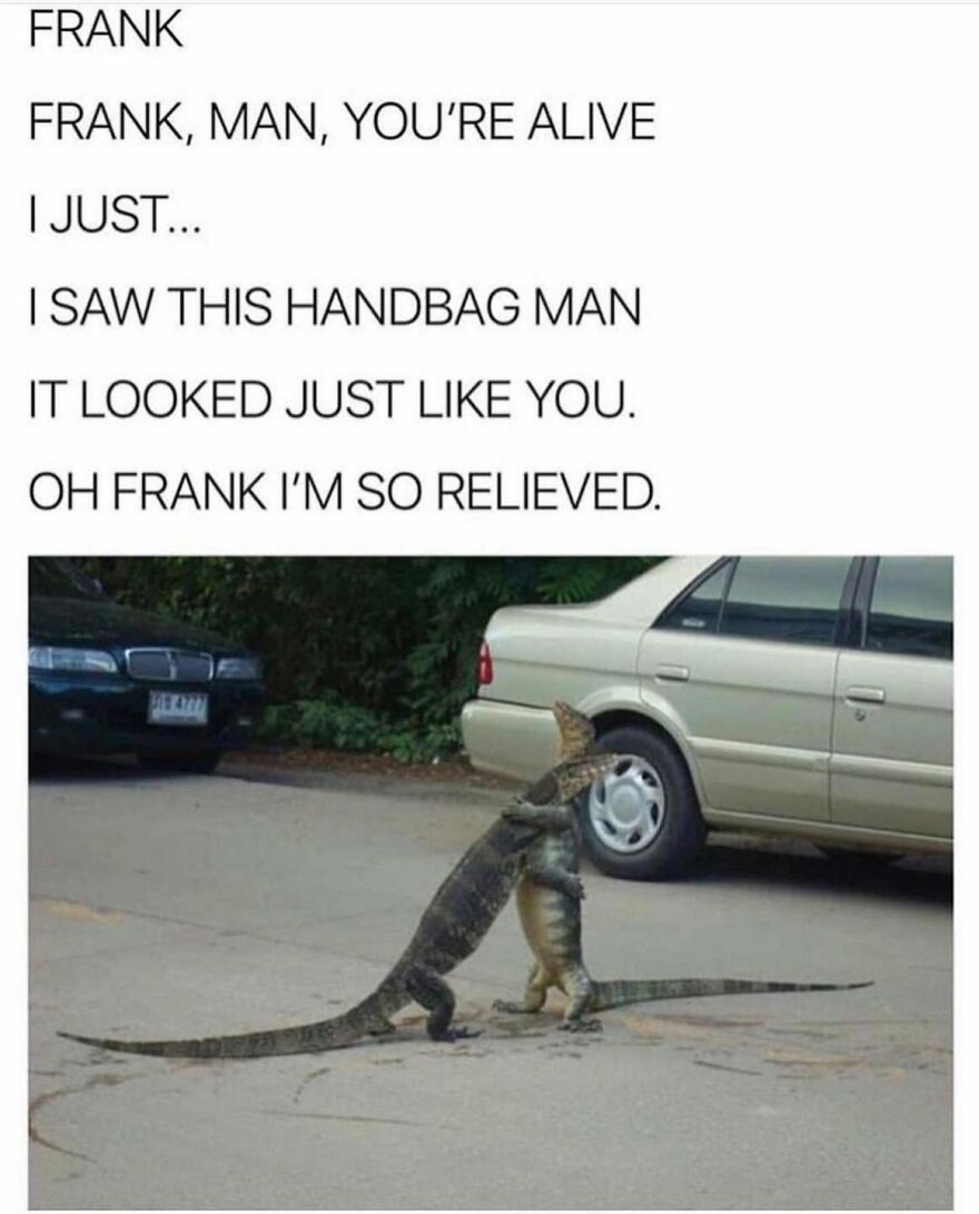Funny animal meme of two lizards embracing on a road, a humorous take on animal interactions.