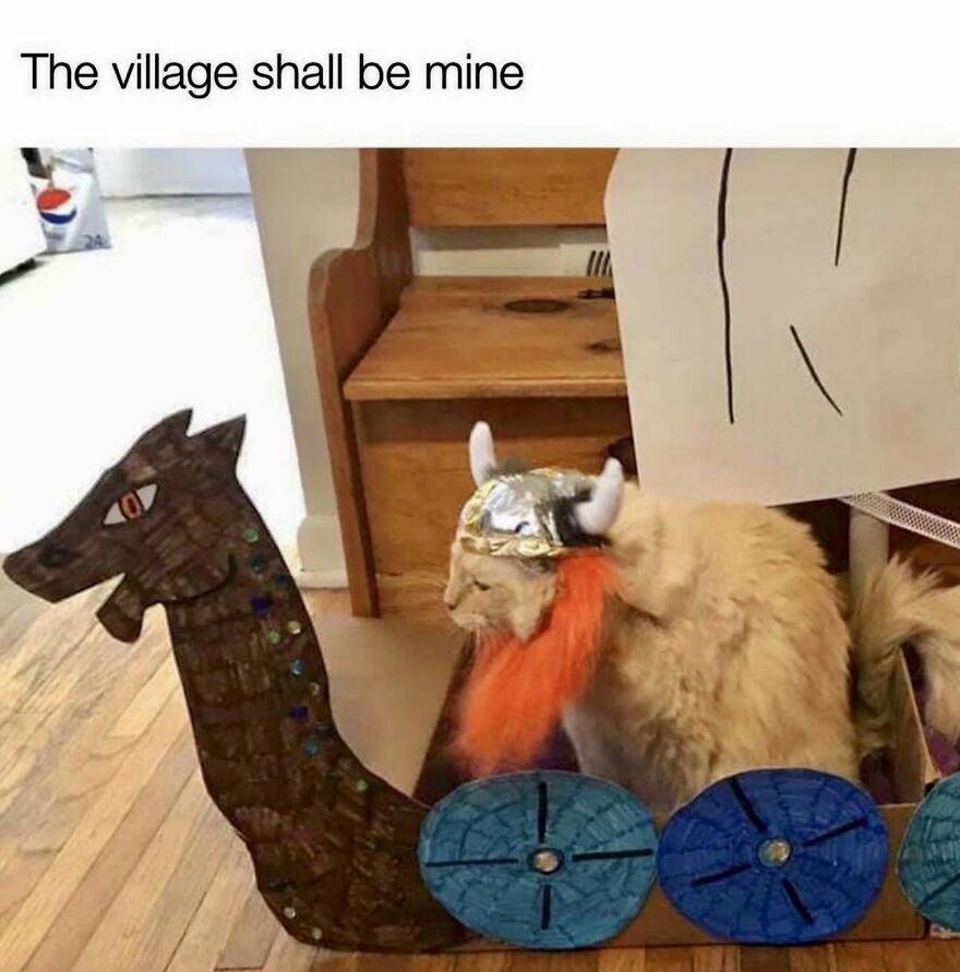 A meme featuring an animal dressed as a Viking in a cardboard boat, ready to conquer the village. Funny animal memes.