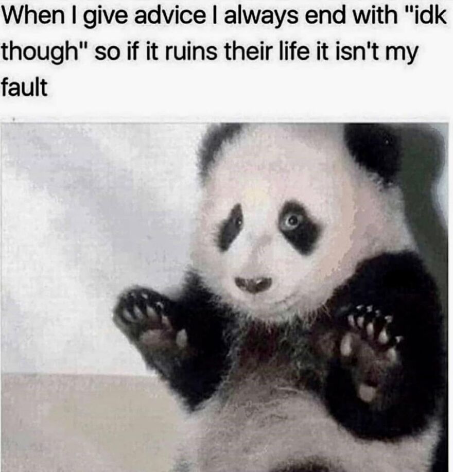 A meme of a baby panda shrugging, representing animal memes.
