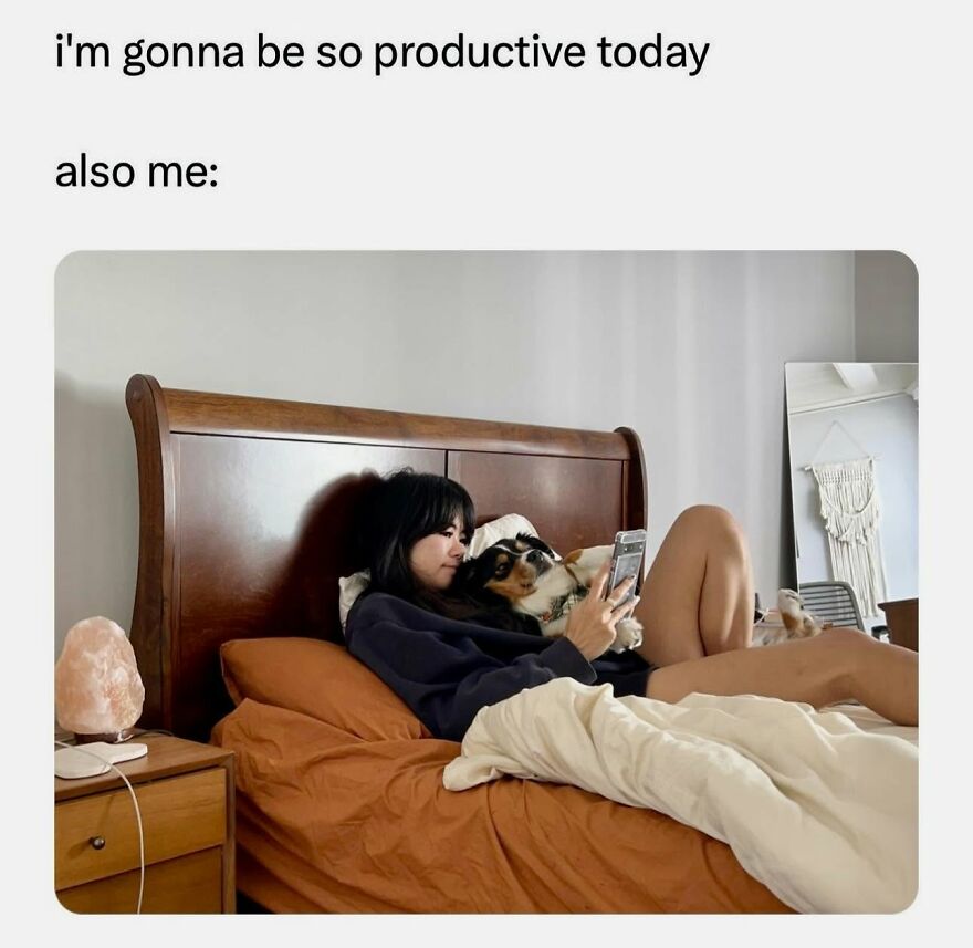 A meme with a person and a dog relaxing in bed, looking at a phone, representing animal memes.