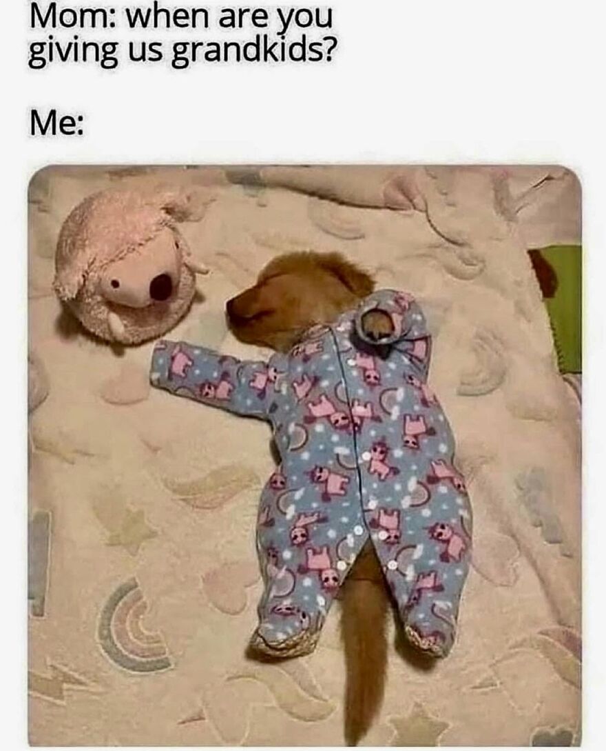 A meme with a cute puppy wearing pajamas next to a stuffed animal, representing a child. Funny animal memes about grandkids.