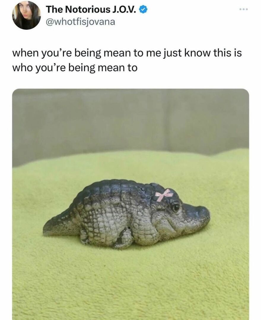 A meme of a baby alligator wearing a pink bow, representing an animal that stops scrolling viewers.