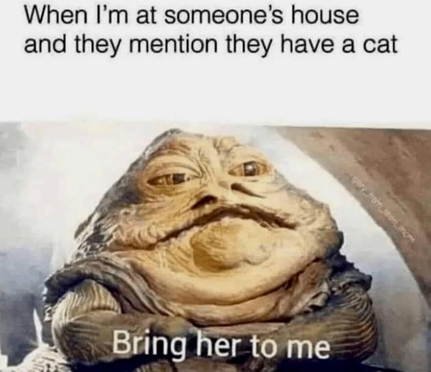 A meme featuring Jabba the Hutt with the caption Bring her to me. A funny animal meme for cat lovers.
