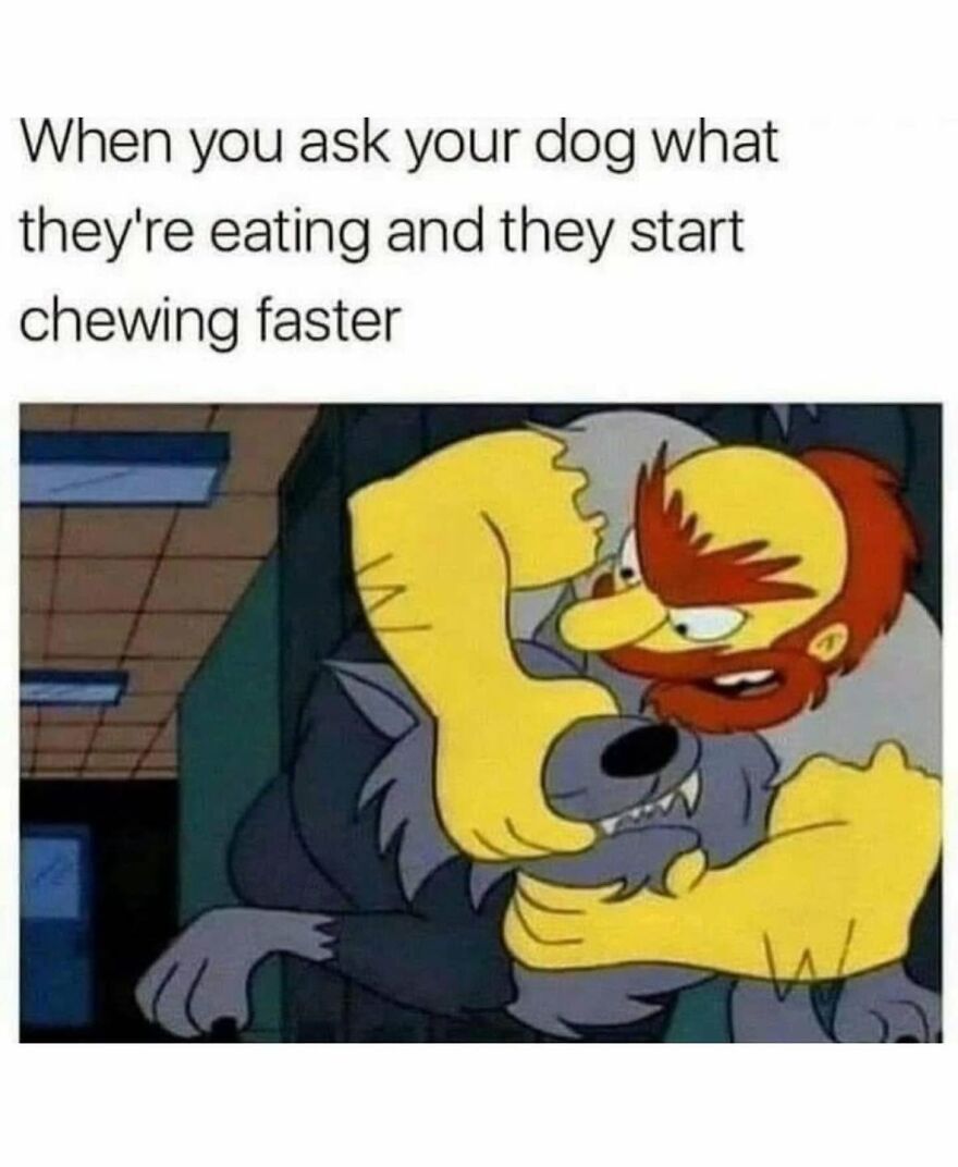 Funny animal meme of a dog eating fast while being asked what they're eating, capturing the humor of animal behavior.