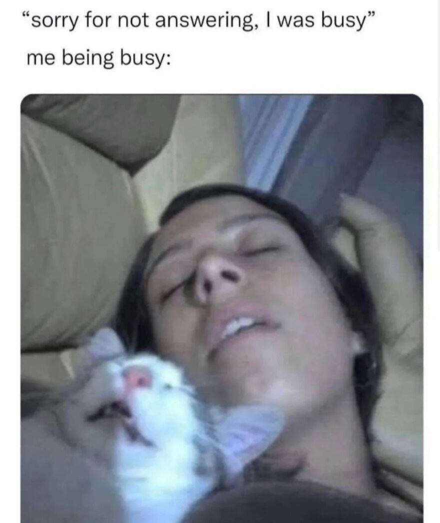 Person resting with a cat cuddling animal meme