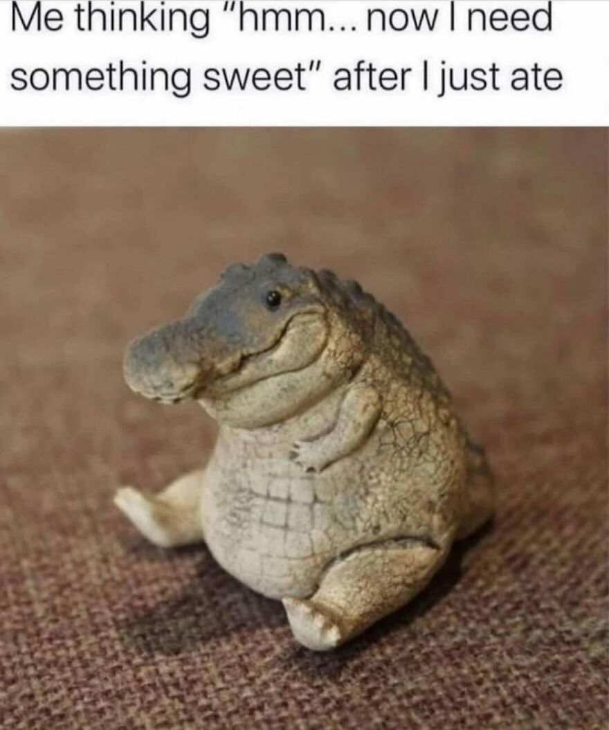 A meme showing a small alligator figurine with a round belly and a satisfied smile. This animal meme is relatable.