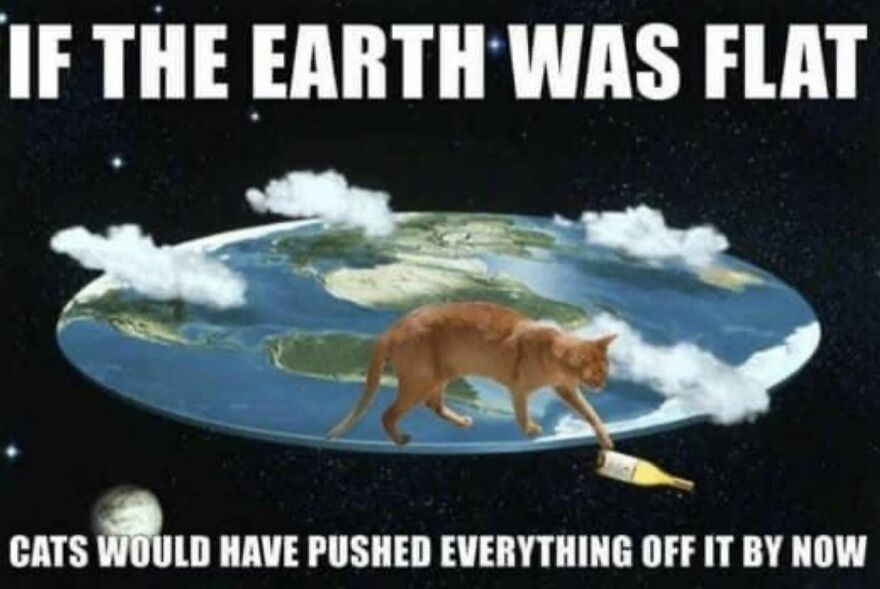 Funny animal meme showing a cat pushing a bottle off a flat Earth, humorously depicting animal behavior.