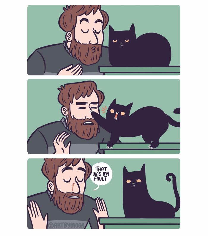 A comic by Meg Adams showing a man being scratched by a cat, then regretting it.