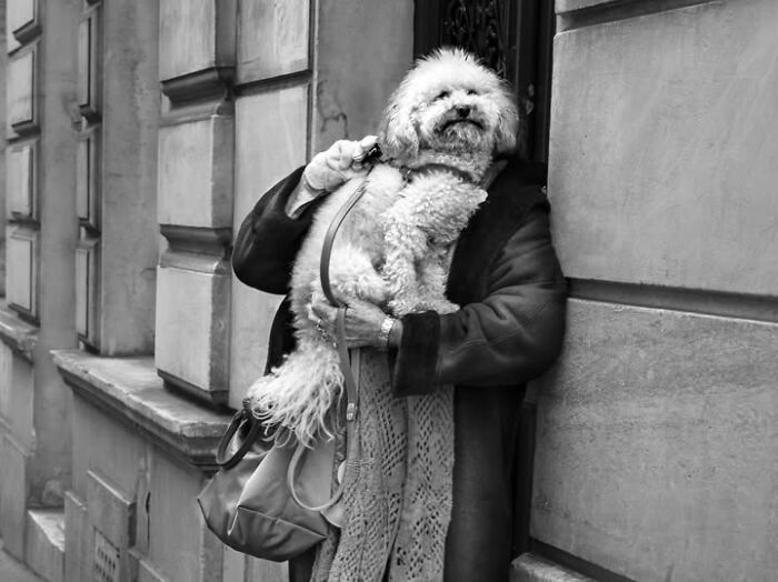 A woman holding a fluffy dog on a Parisian street in Gaspard Claude's perfectly timed street photos.