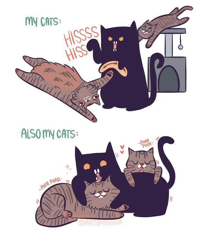 Relatable comic illustrating the dual nature of cats, first hissing then purring and cuddling affectionately.