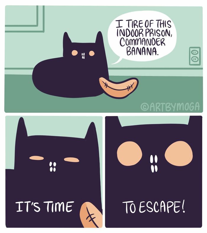 Funny comic depicting a cat declaring its intention to escape its indoor prison with its banana companion.