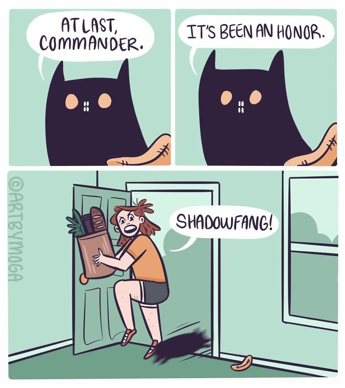 Relatable comic about life with a cat: owner returning home with groceries, while a black cat says farewell to a banana.