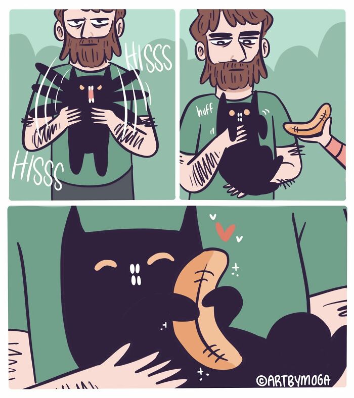Relatable comic about life with a cat: a man holding a black cat that initially hisses, then happily licks a banana.