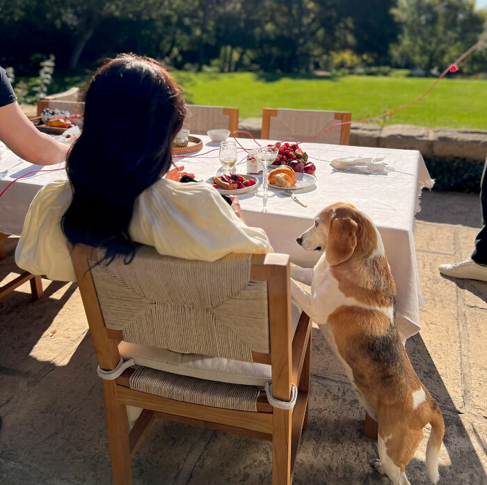 Report Reveals Meghan Markle And Prince Harry's Montecito Neighbors' Brutal Reactions To Their Move Back To UK Report Reveals Meghan Markle And Prince Harry's Montecito Neighbors' Brutal Reactions To Their Move Back To UK