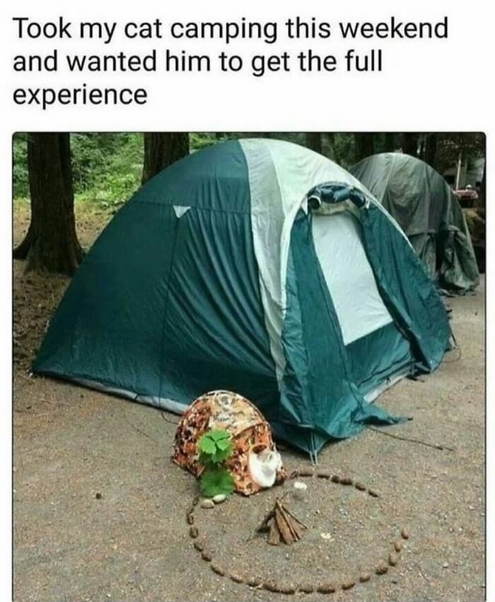 A cat meme presents a large camping tent with a miniature tent and small campfire set up for a cat, illustrating life with a tiny four-legged menace.
